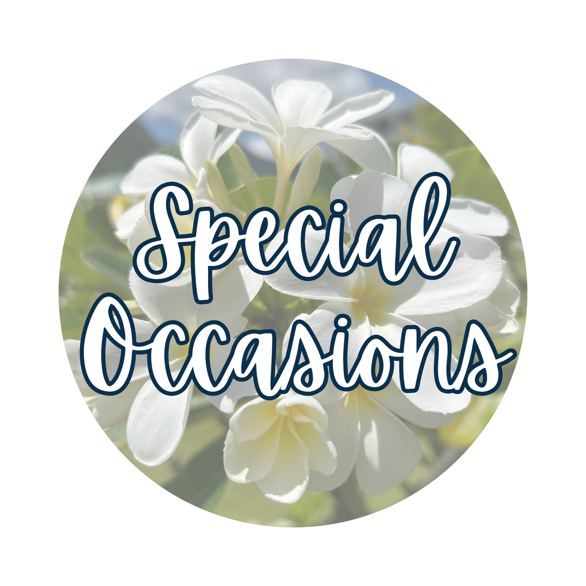 Special Occasion Embroidery