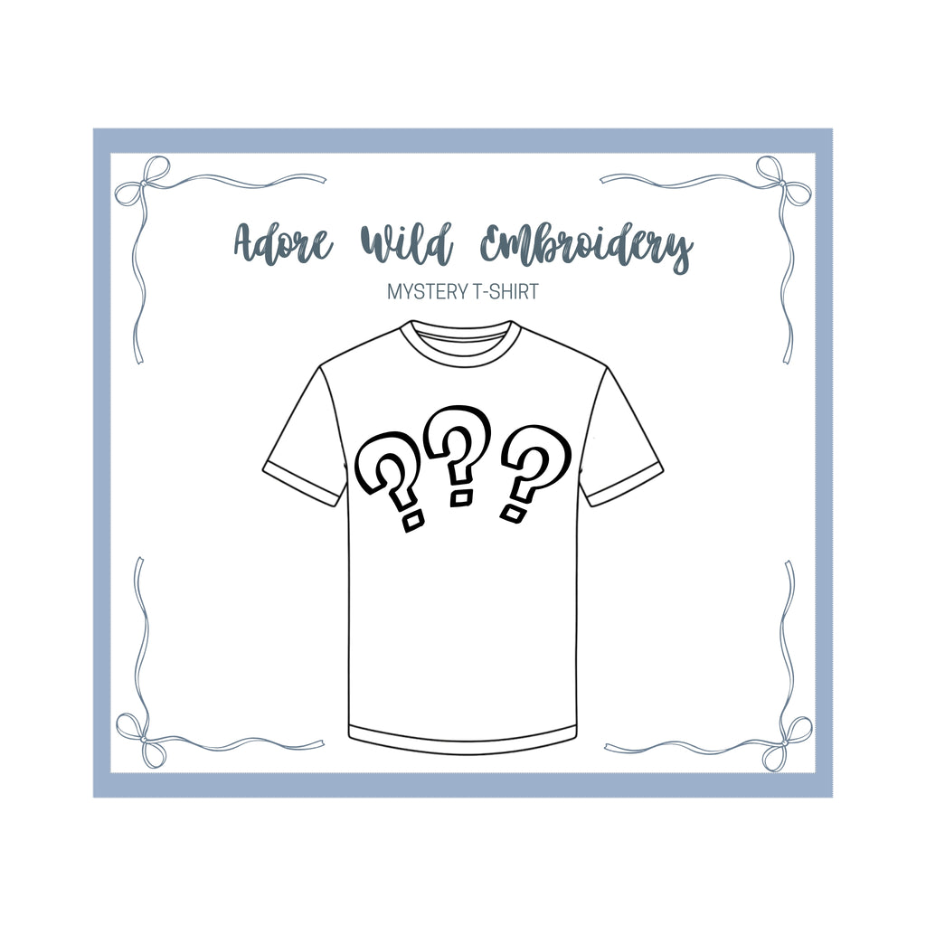 Men's Mystery T-Shirt