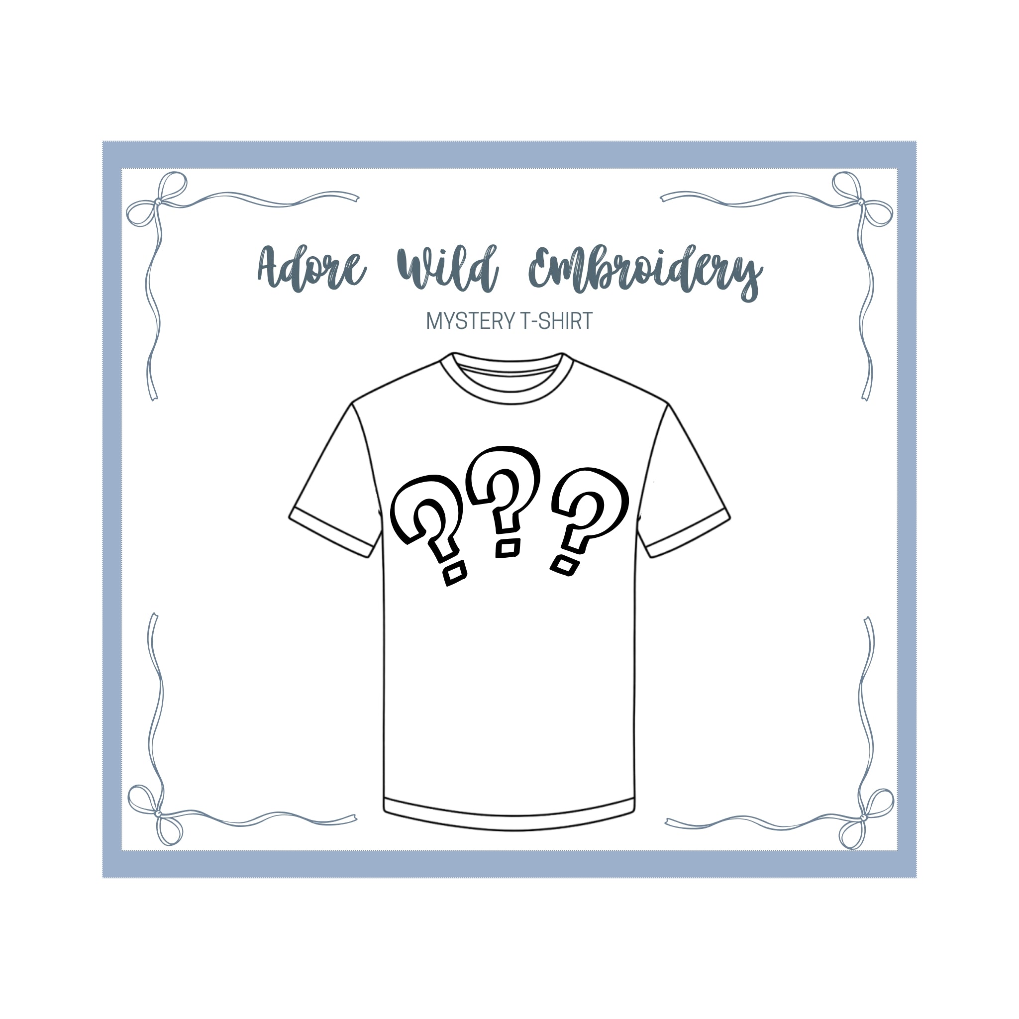 Men's Mystery T-Shirt